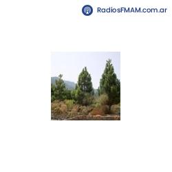 Radio: RADIO COOPERATIVA - ONLINE