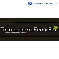 Radio: TARAHUMARA FENIX FM - ONLINE