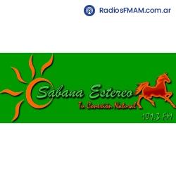 Radio: SABANA ESTEREO - FM 101.3
