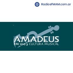 Radio: AMADEUS - FM 100.3