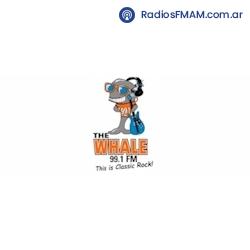 Radio: THE WHALE - FM 99.1