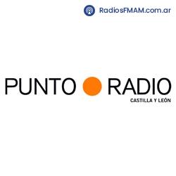 Radio: PUNTO RADIO - ONLINE